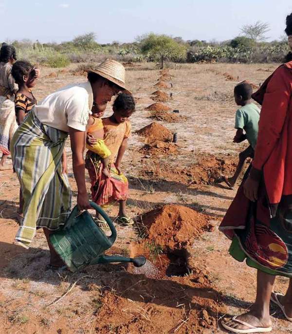 Klimaschutz projekt madagaskar aufforstung 1400x1000