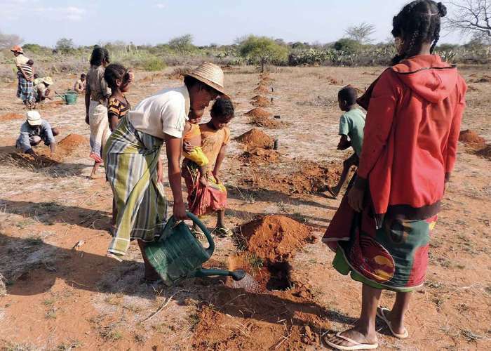 Klimaschutz projekt madagaskar aufforstung 1400x1000